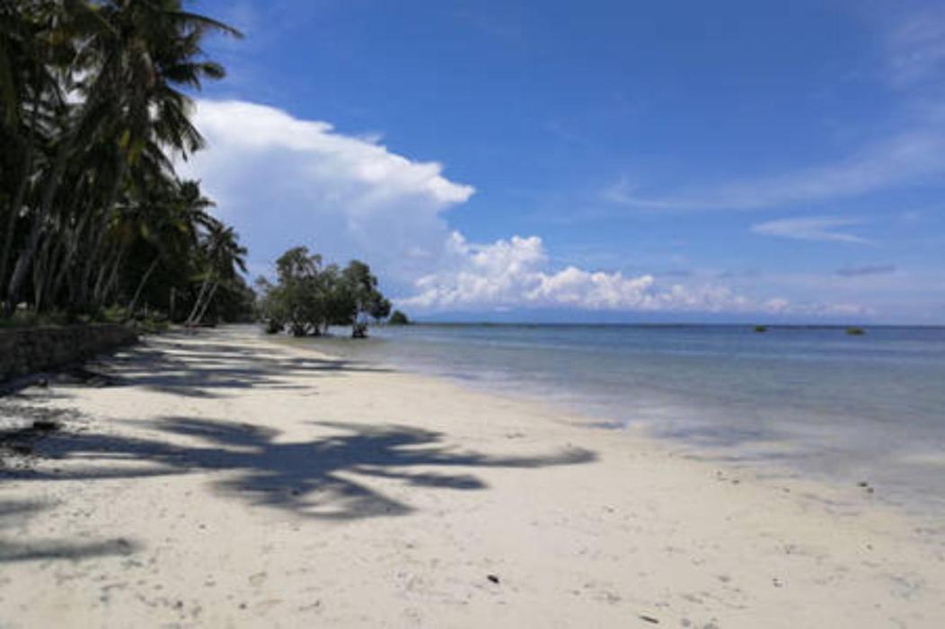 Bamboo Nest Beachfront Puerto Princesa Bagian luar foto